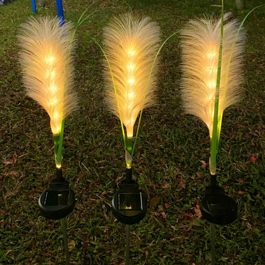 Solar Garden Lights – Decorative Fiber Optic Outdoor Lighting for Landscape